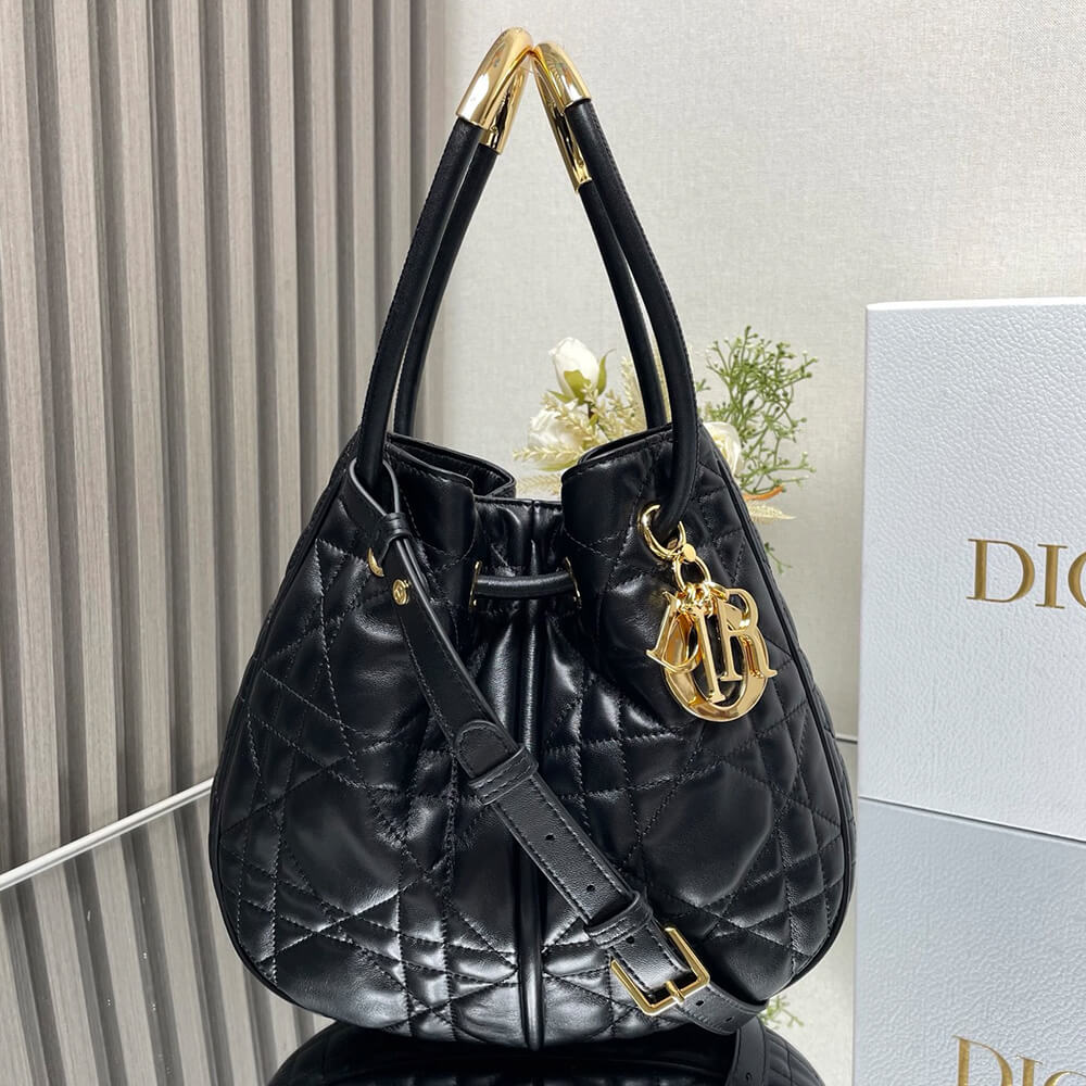 Medium Dior Nolita Bag